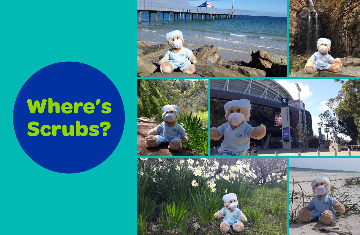 Scrubs exploring our wonderful State. - RAH Research Fund